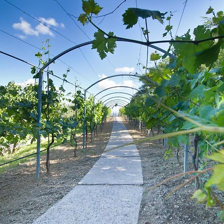 Agriturismo Il Vecchio Mandorlo Perugia Exteriér fotografie