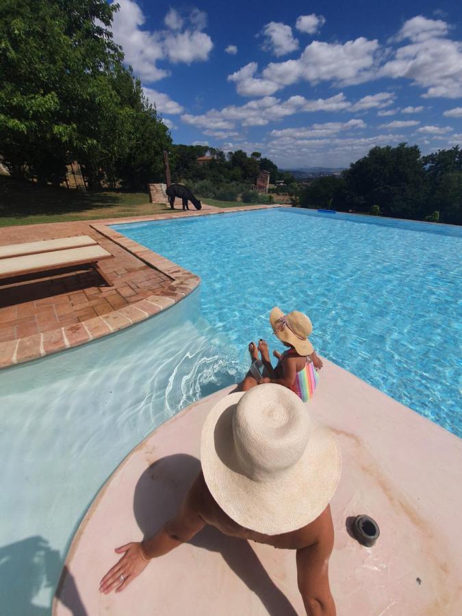 Agriturismo Il Vecchio Mandorlo Perugia Exteriér fotografie