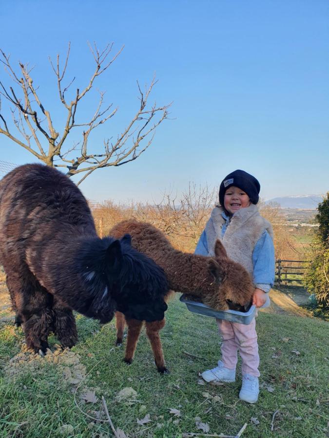 Agriturismo Il Vecchio Mandorlo Perugia Exteriér fotografie