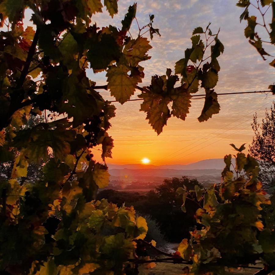 Agriturismo Il Vecchio Mandorlo Perugia Exteriér fotografie