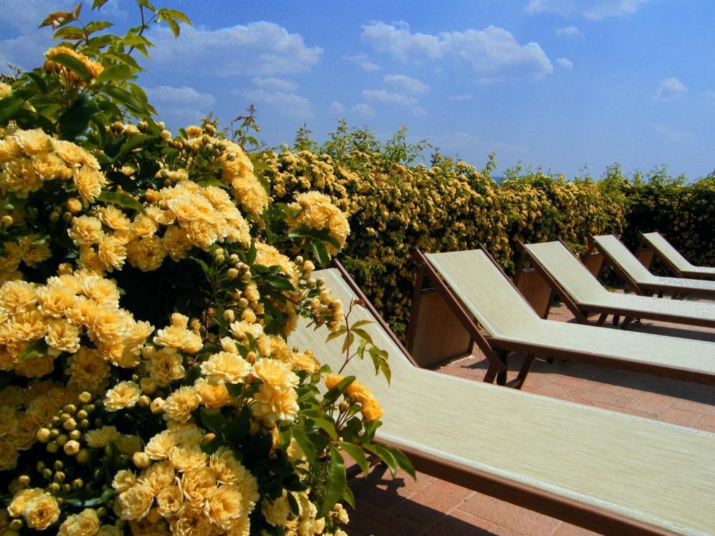 Agriturismo Il Vecchio Mandorlo Perugia Exteriér fotografie