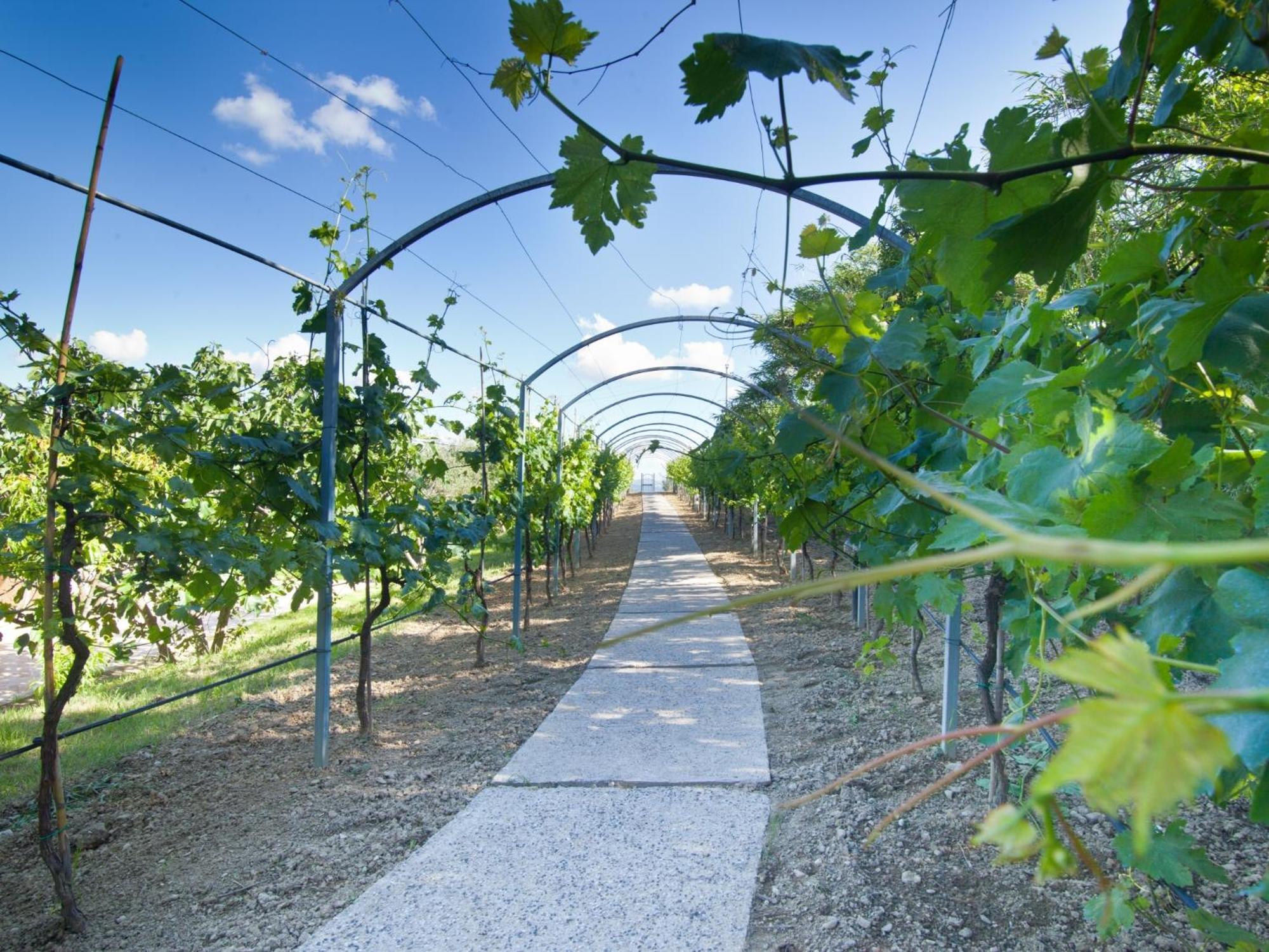 Agriturismo Il Vecchio Mandorlo Perugia Exteriér fotografie